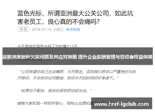 赵鹏深度剖析欠薪问题及其应对策略 提升企业薪酬管理与劳动者权益保障